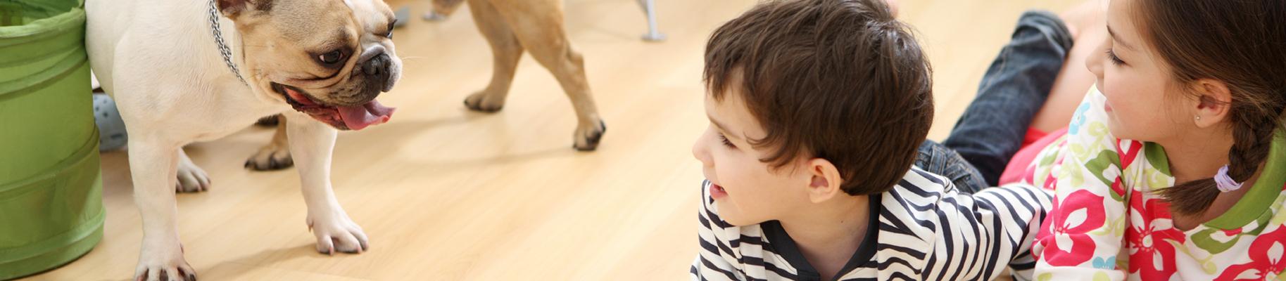 Carpet Superstores | Laminate